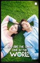 You Are The Only One In The World Chanies And Korean